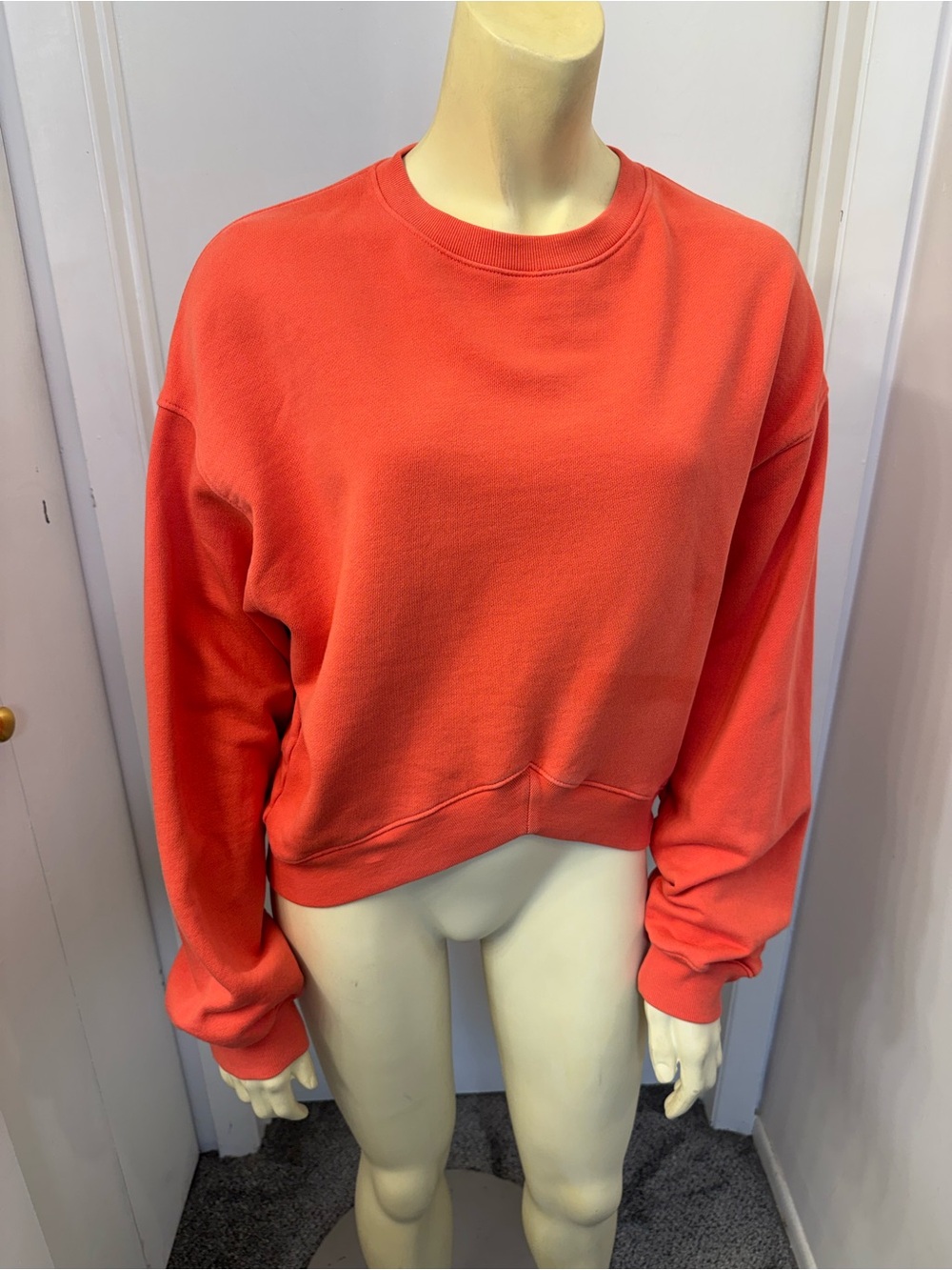 Agolde Coral Crewneck Sweatshirt